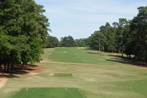 Palmetto 13th